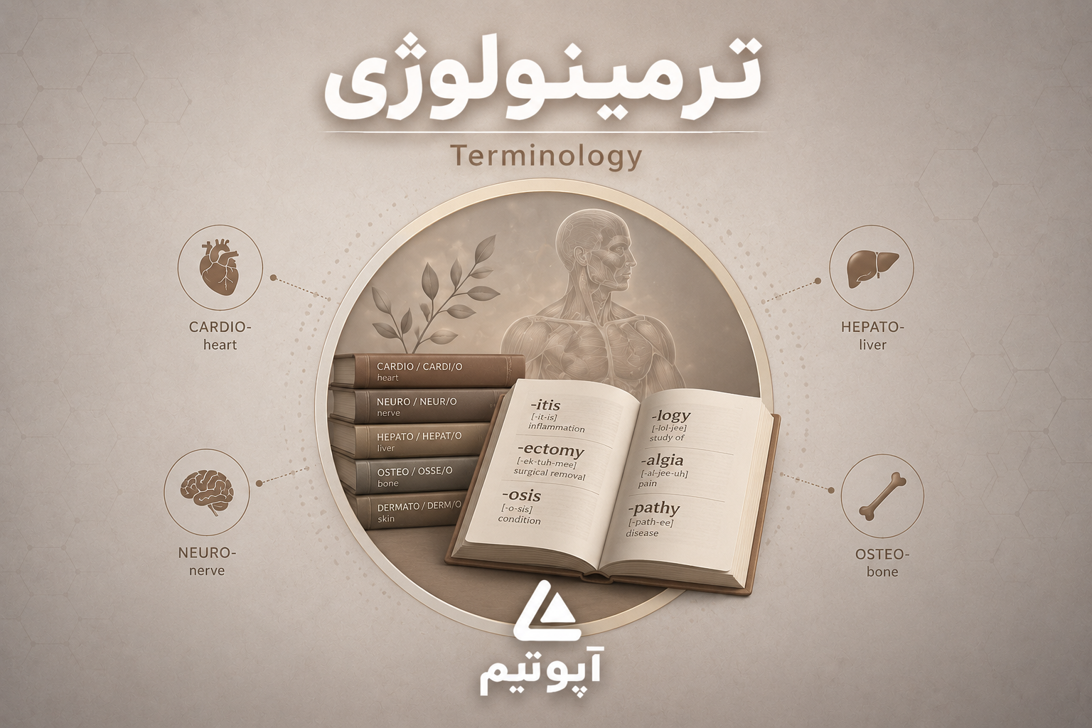 Terminology